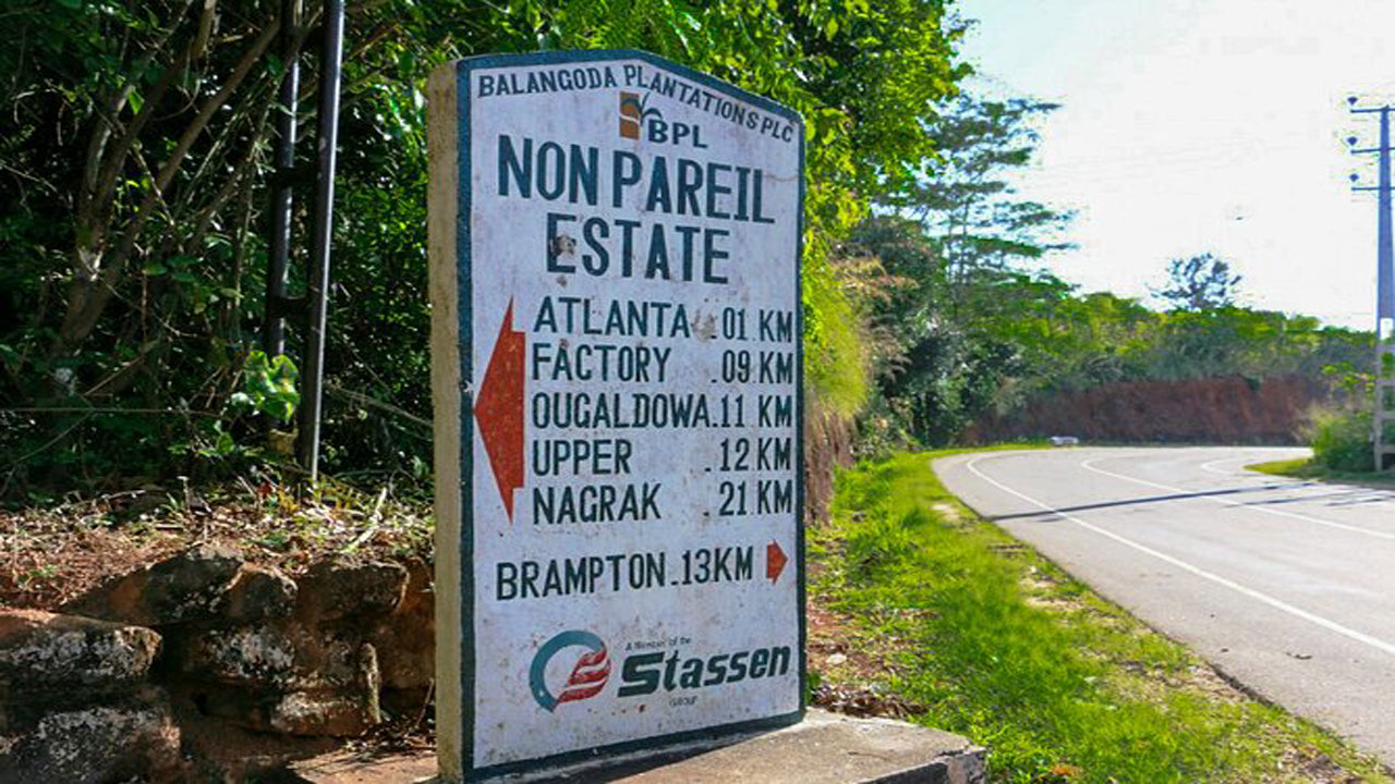 Nonpareil Trail bölgesinde Yürüyüş