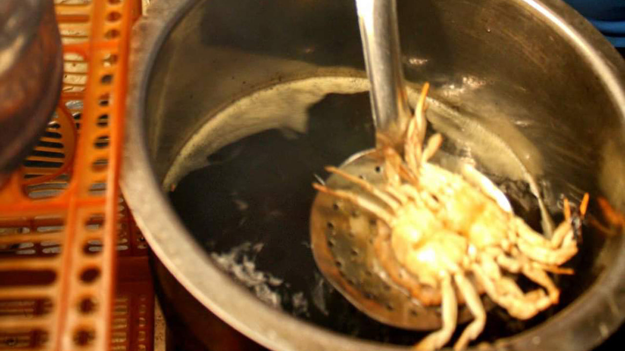 Colombo'dan Streetfood Bisiklet Turu