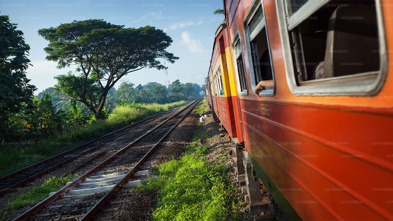 Kandy'den Ella'ya, Nanu Oya ve Badulla'ya Tren Bileti Rezervasyonu