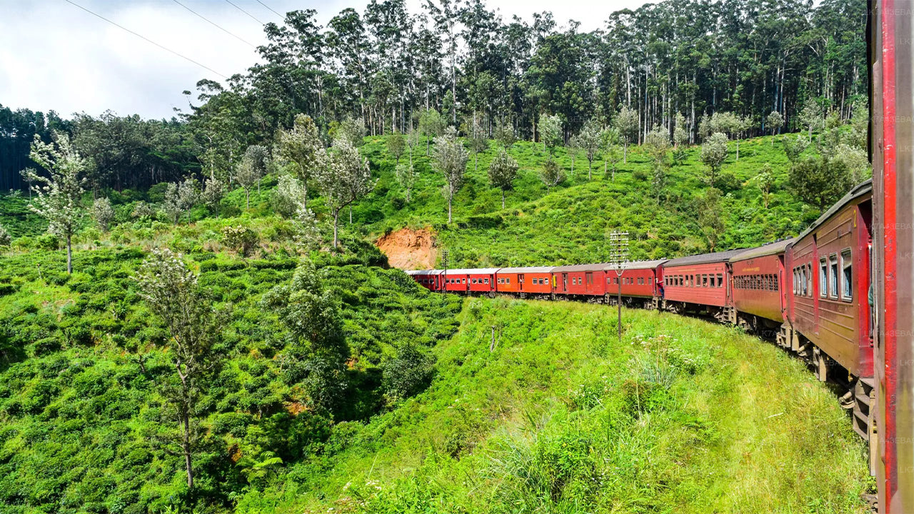 Kandy'den Ella'ya, Nanu Oya ve Badulla'ya Tren Bileti Rezervasyonu