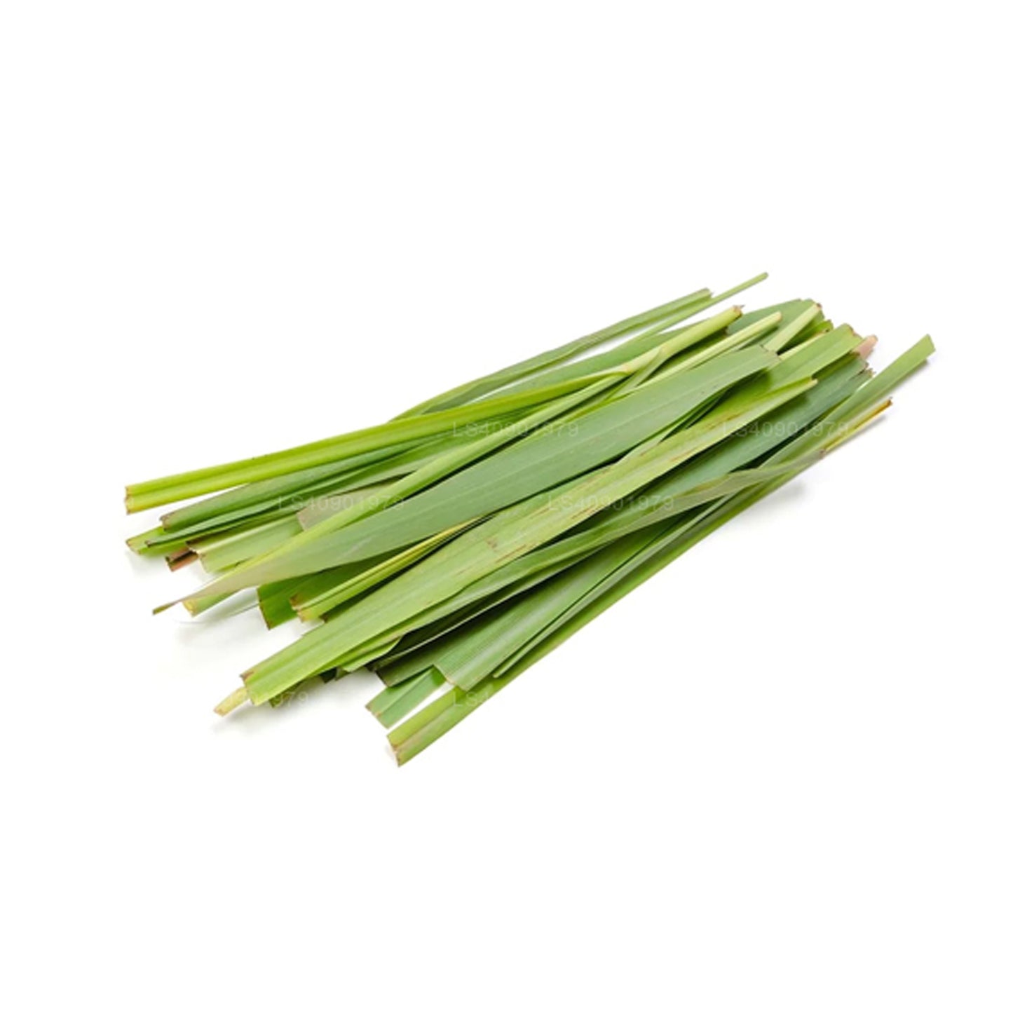 Lakpura Citronella Esansiyel Yağı (15ml)