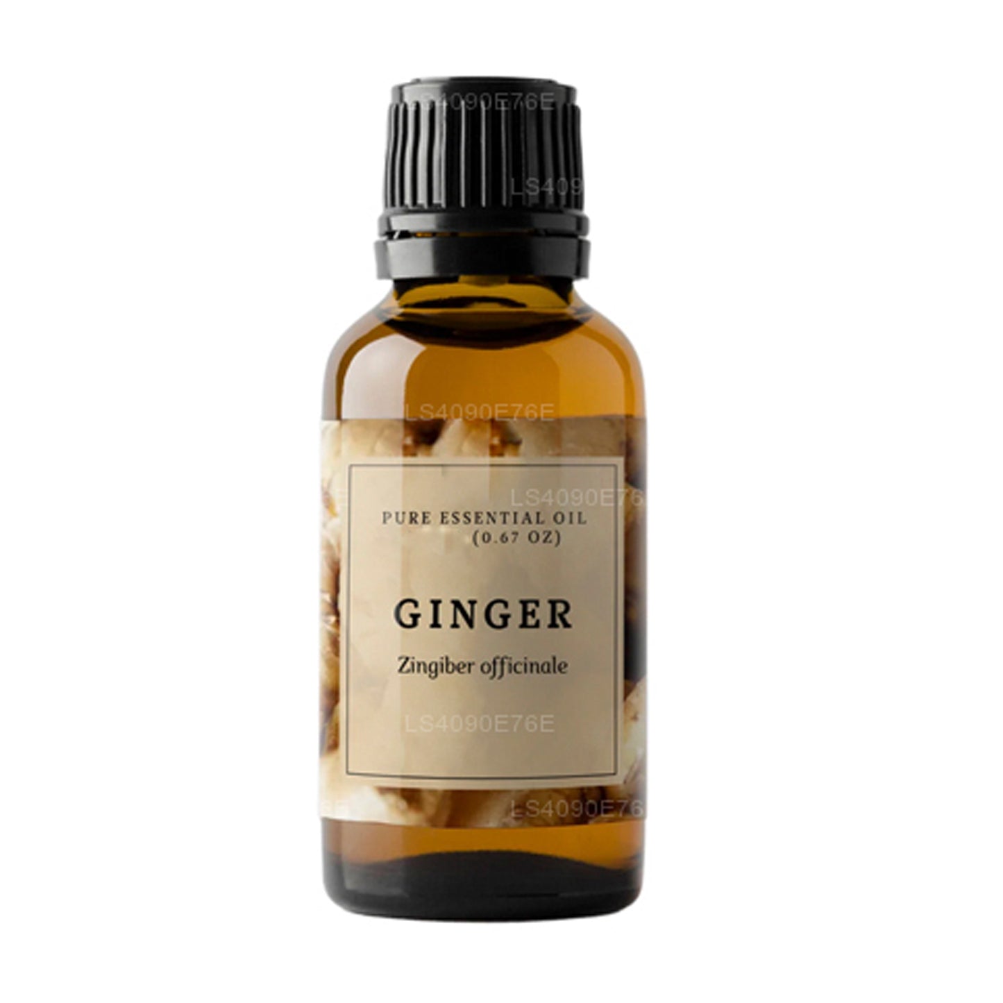 Lakpura Zencefil Esansiyel Yağı (15ml)