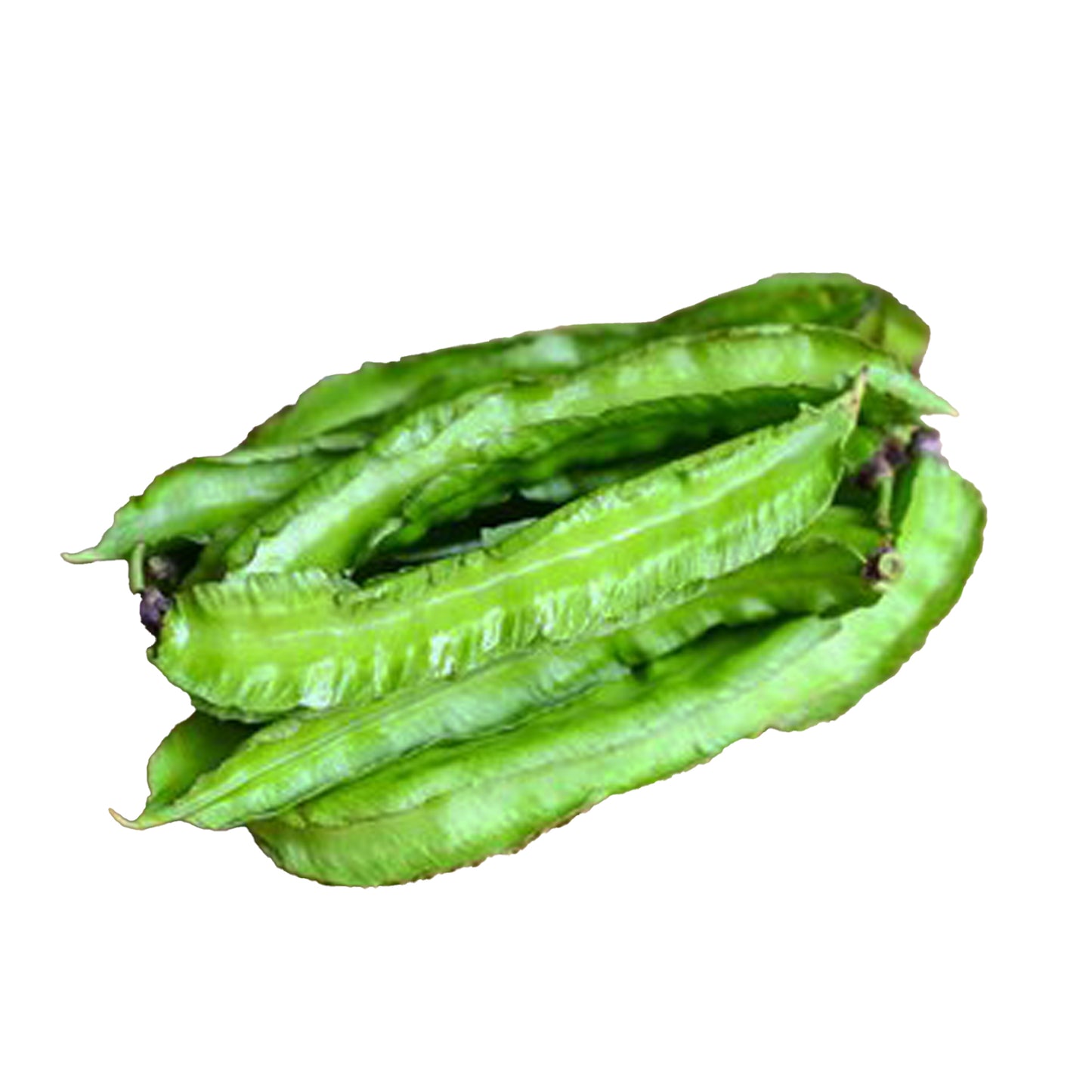 Lakpura Kanatlı Fasulye