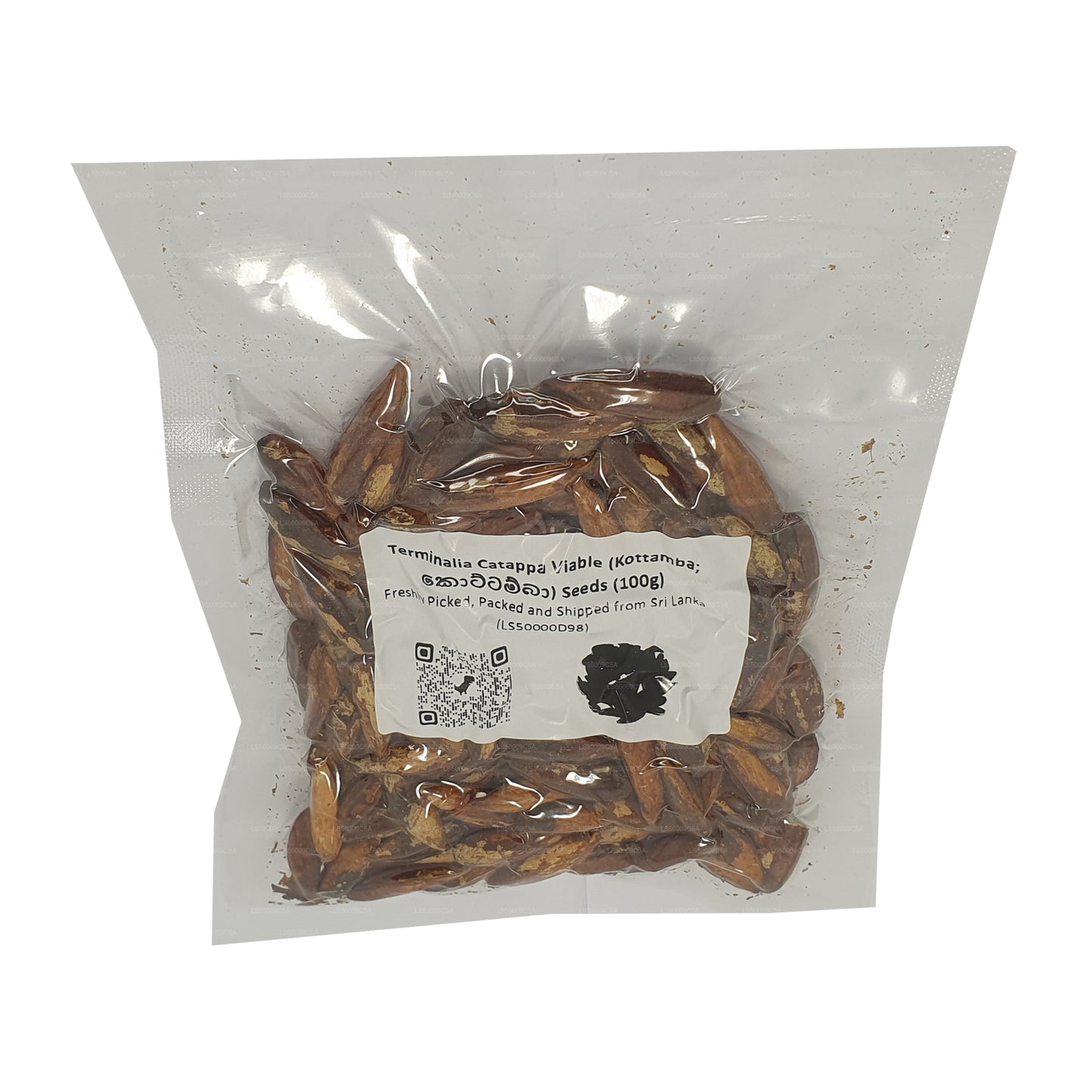Terminalia Catappa Canlı (Kottamba) Tohumları