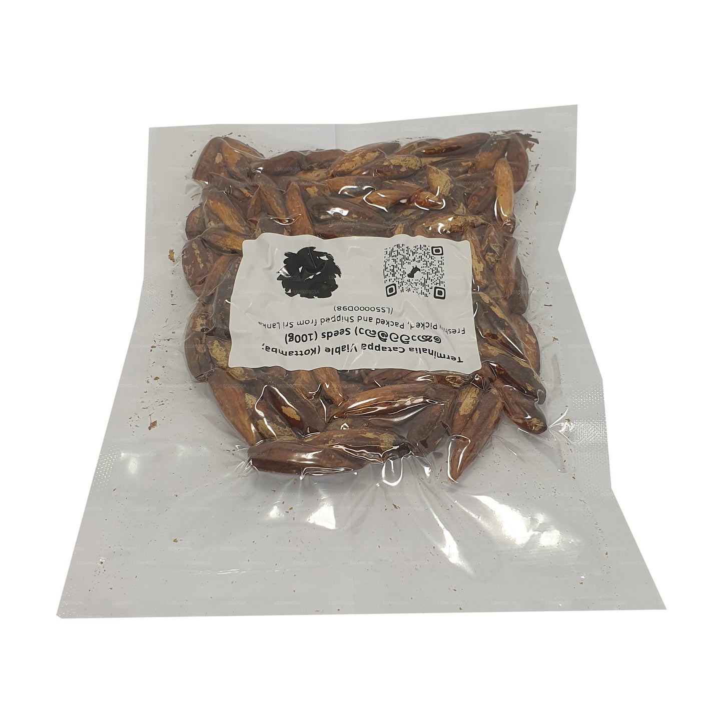 Terminalia Catappa Canlı (Kottamba) Tohumları