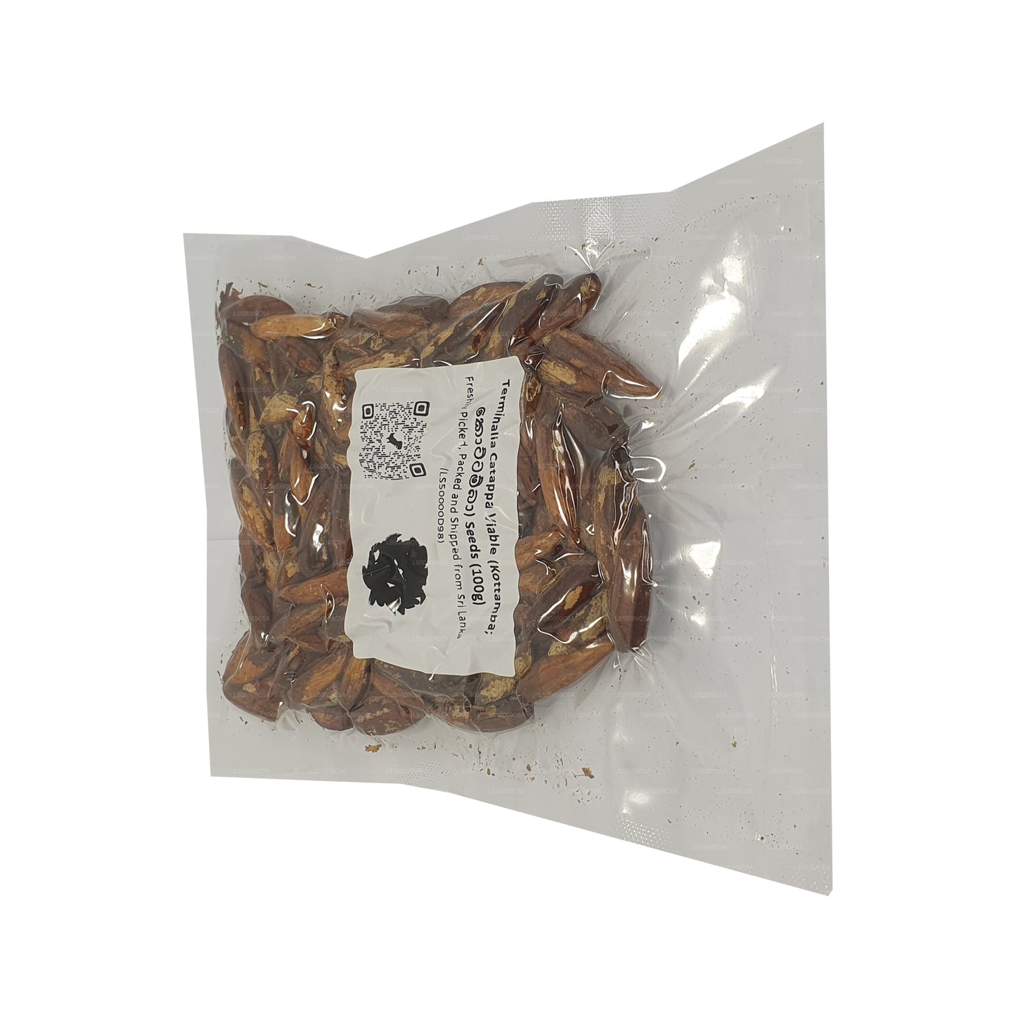 Terminalia Catappa Canlı (Kottamba) Tohumları