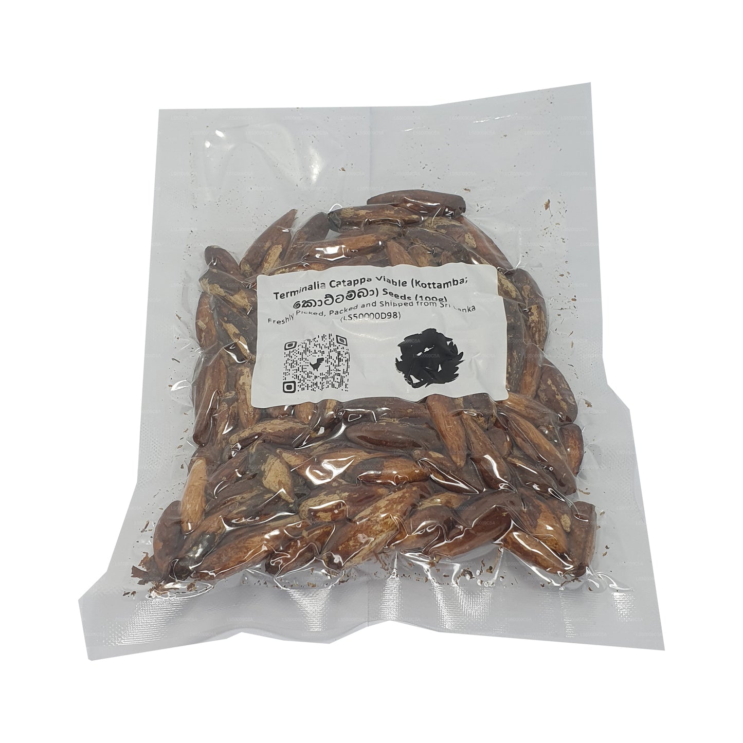 Terminalia Catappa Canlı (Kottamba) Tohumları