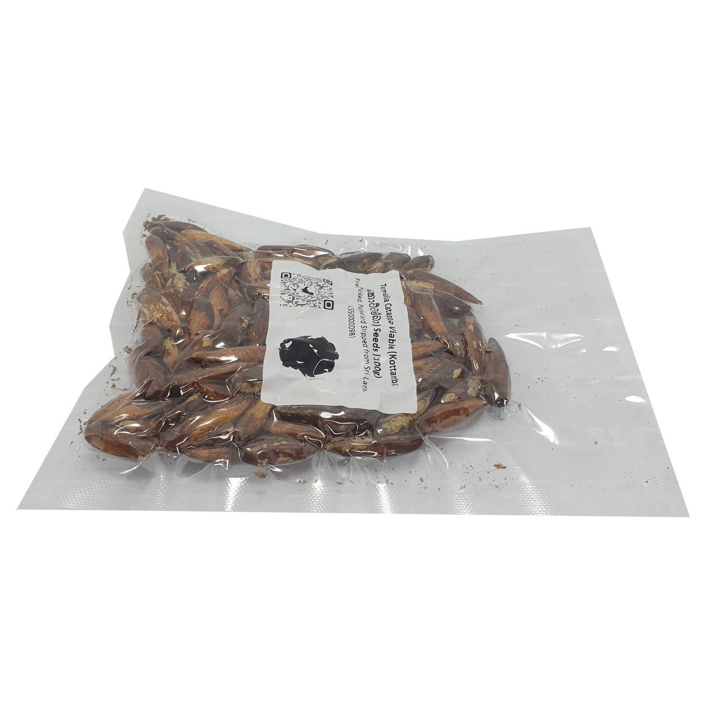 Terminalia Catappa Canlı (Kottamba) Tohumları
