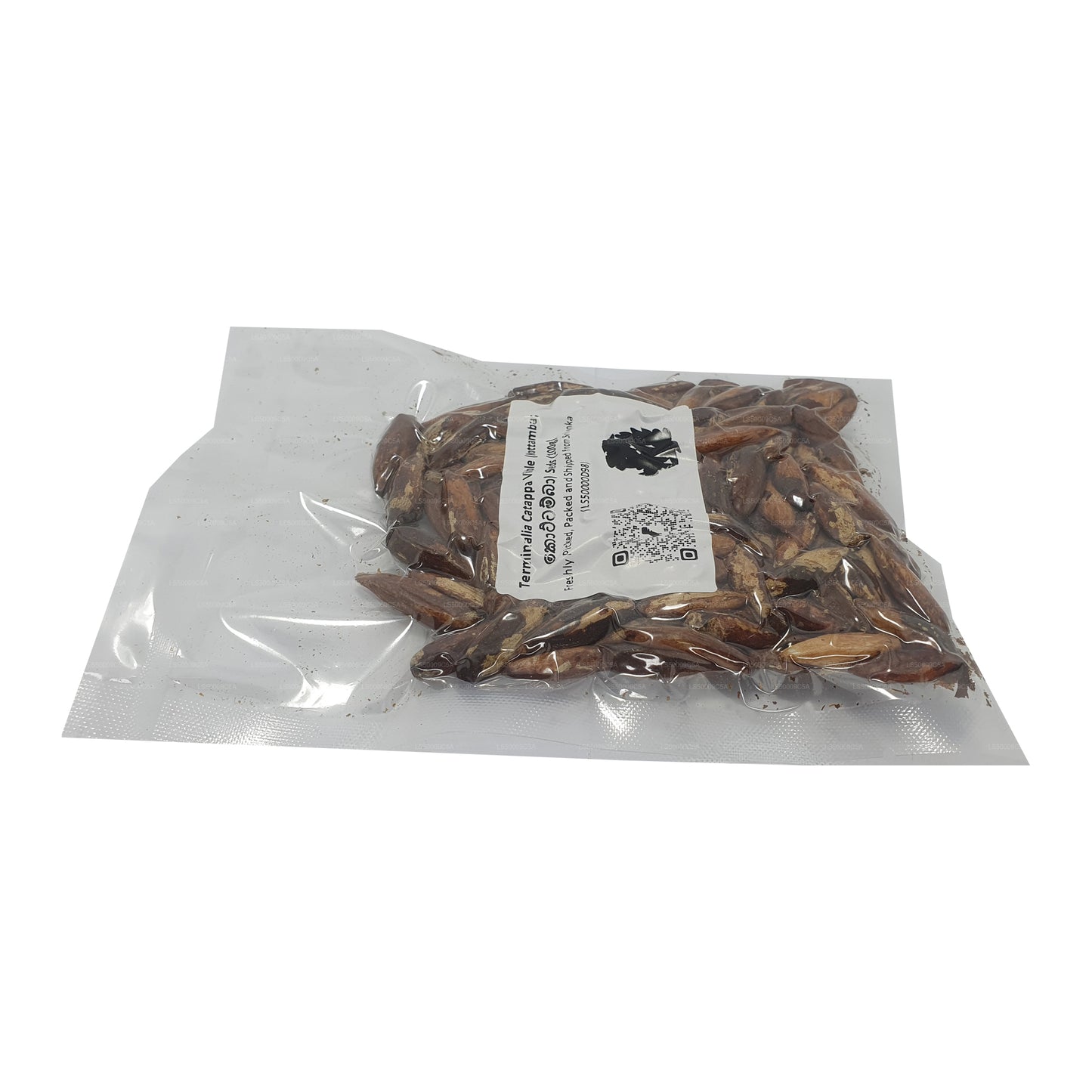 Terminalia Catappa Canlı (Kottamba) Tohumları