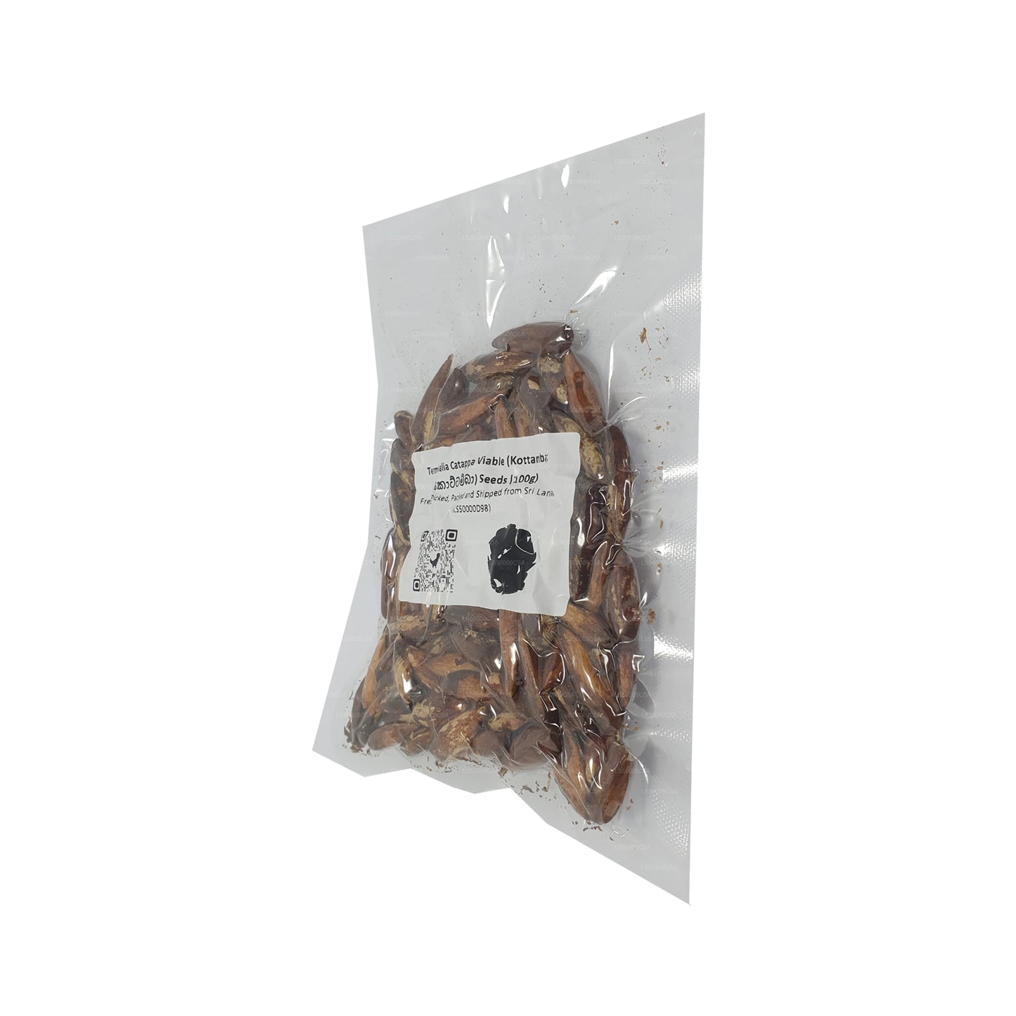 Terminalia Catappa Canlı (Kottamba) Tohumları