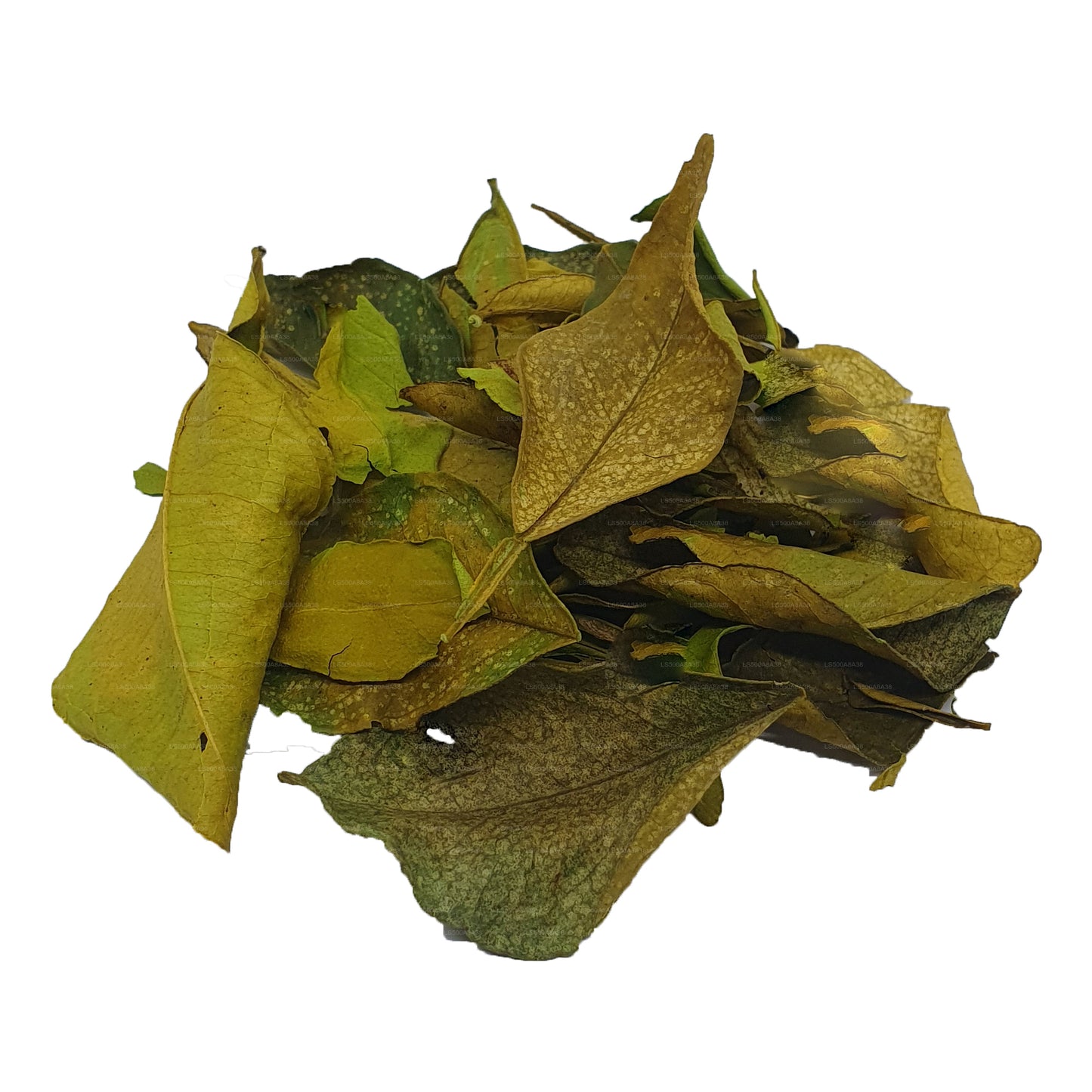 Lakpura Kurutulmuş Yaki Naran (Atalantia Ceylanica) Yaprakları (100g)
