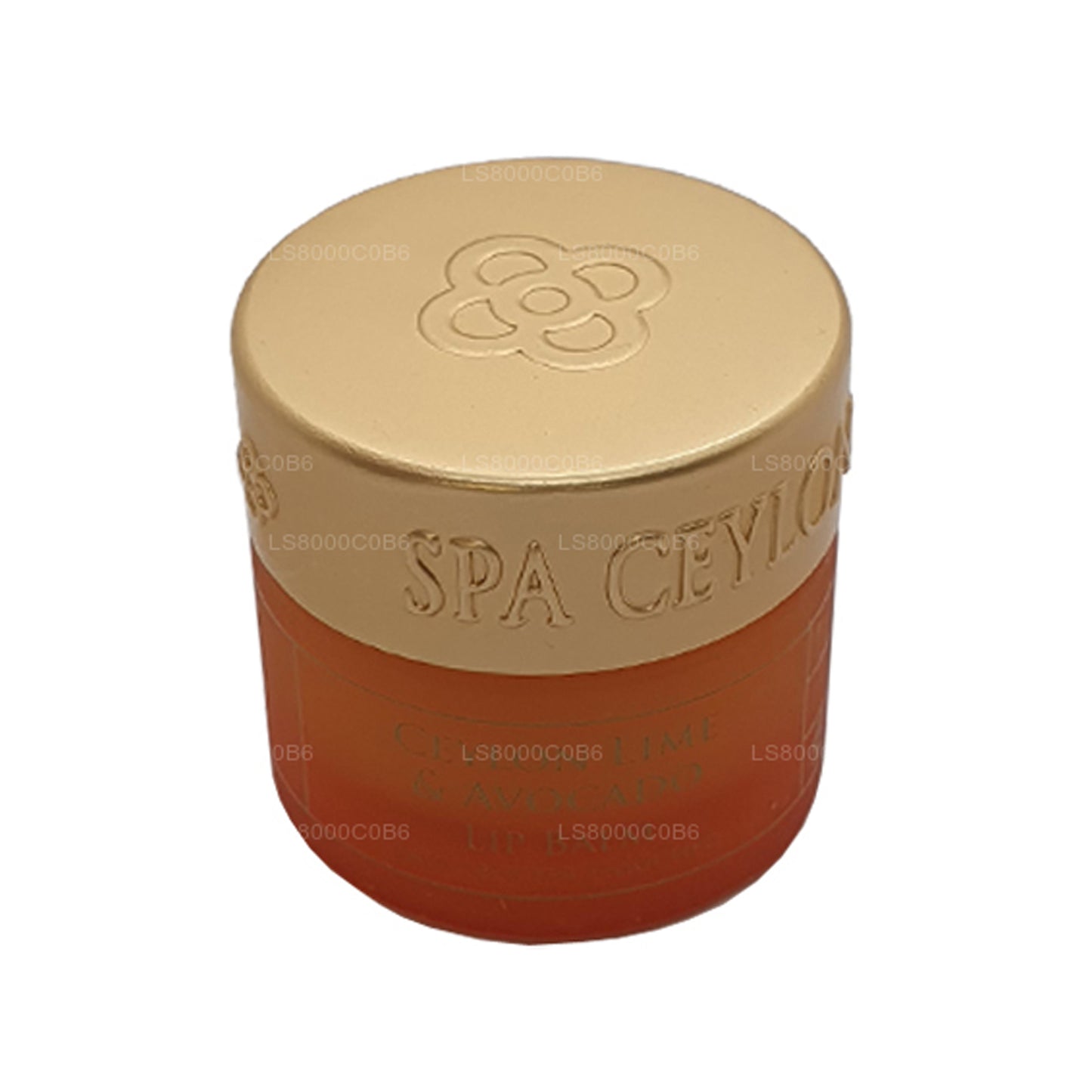 Spa Seylan Seylan Kireç ve Avokado Dudak Balsamı (10g)
