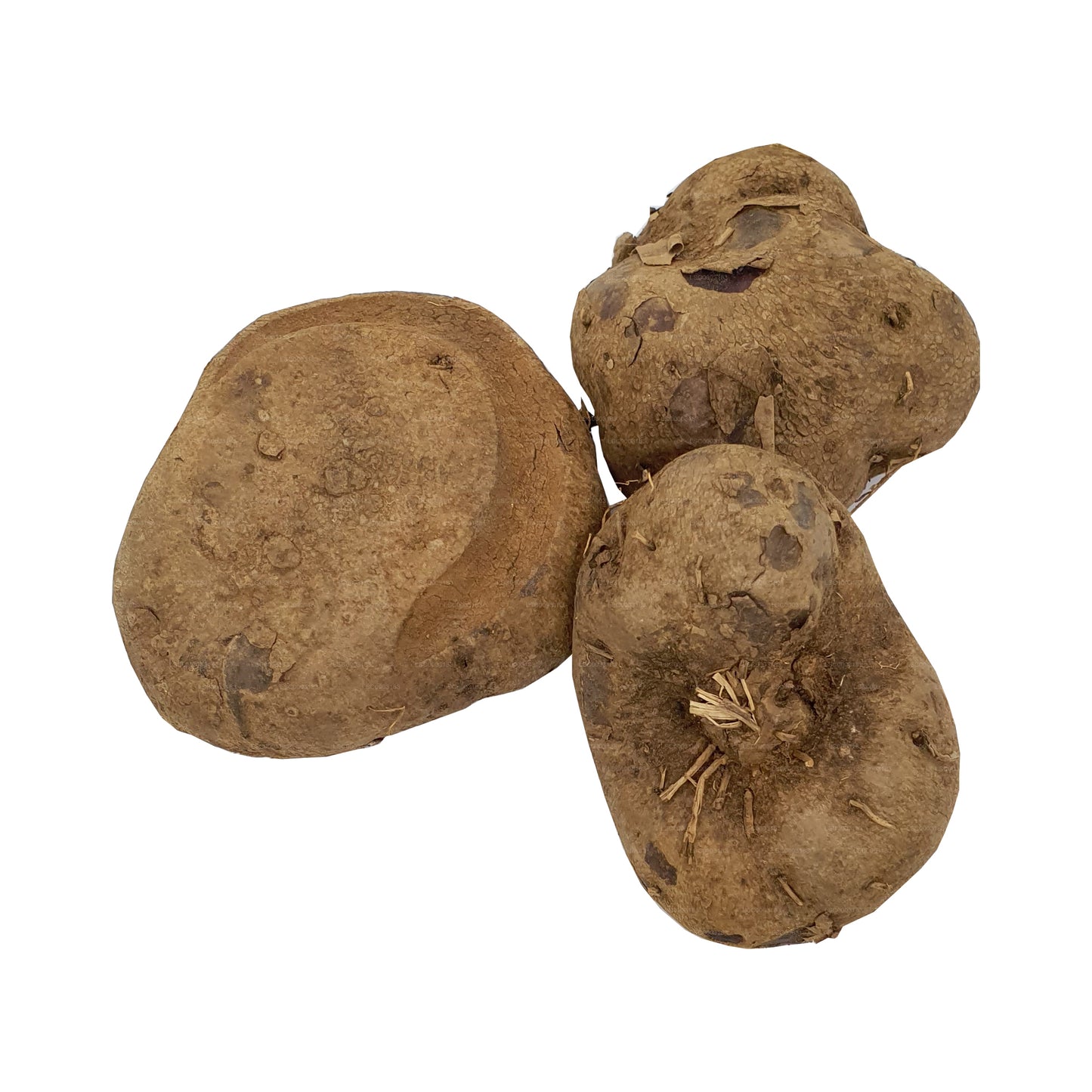 Lakpura® Dandila - Purple Yam - Dandila Ala