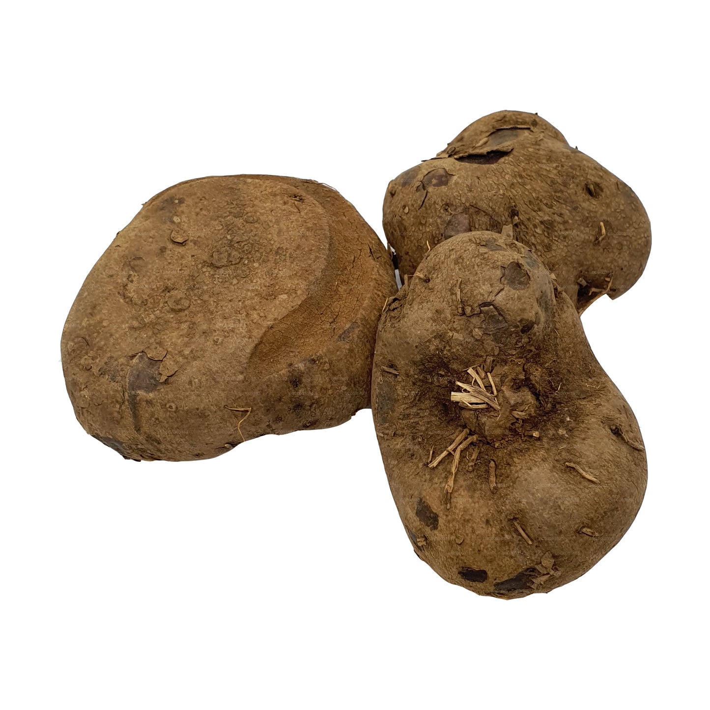 Lakpura® Dandila - Purple Yam - Dandila Ala