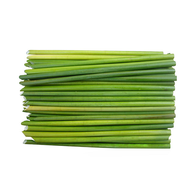 Lakpura® Seagrass Pipetleri