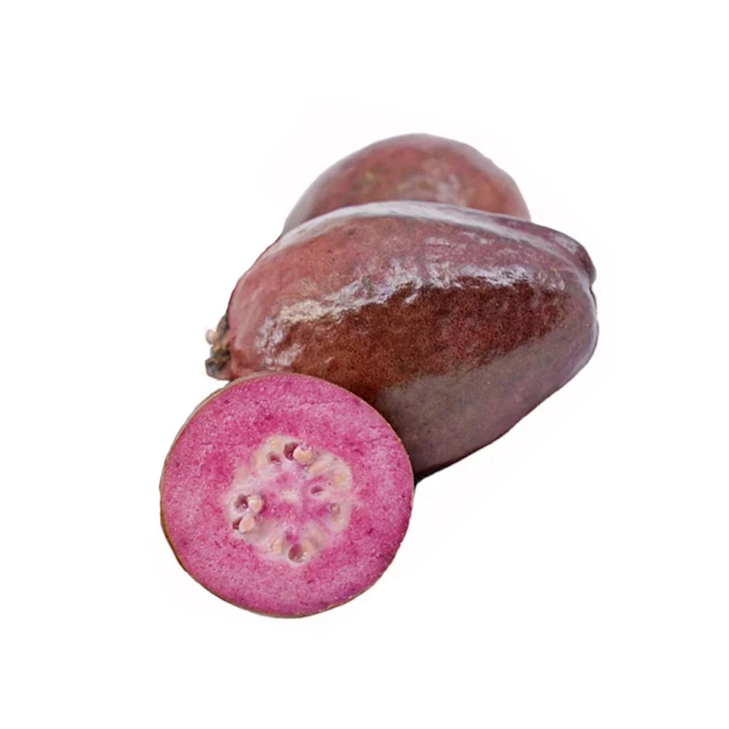Lakpura Mor Guava Meyve Bitkisi
