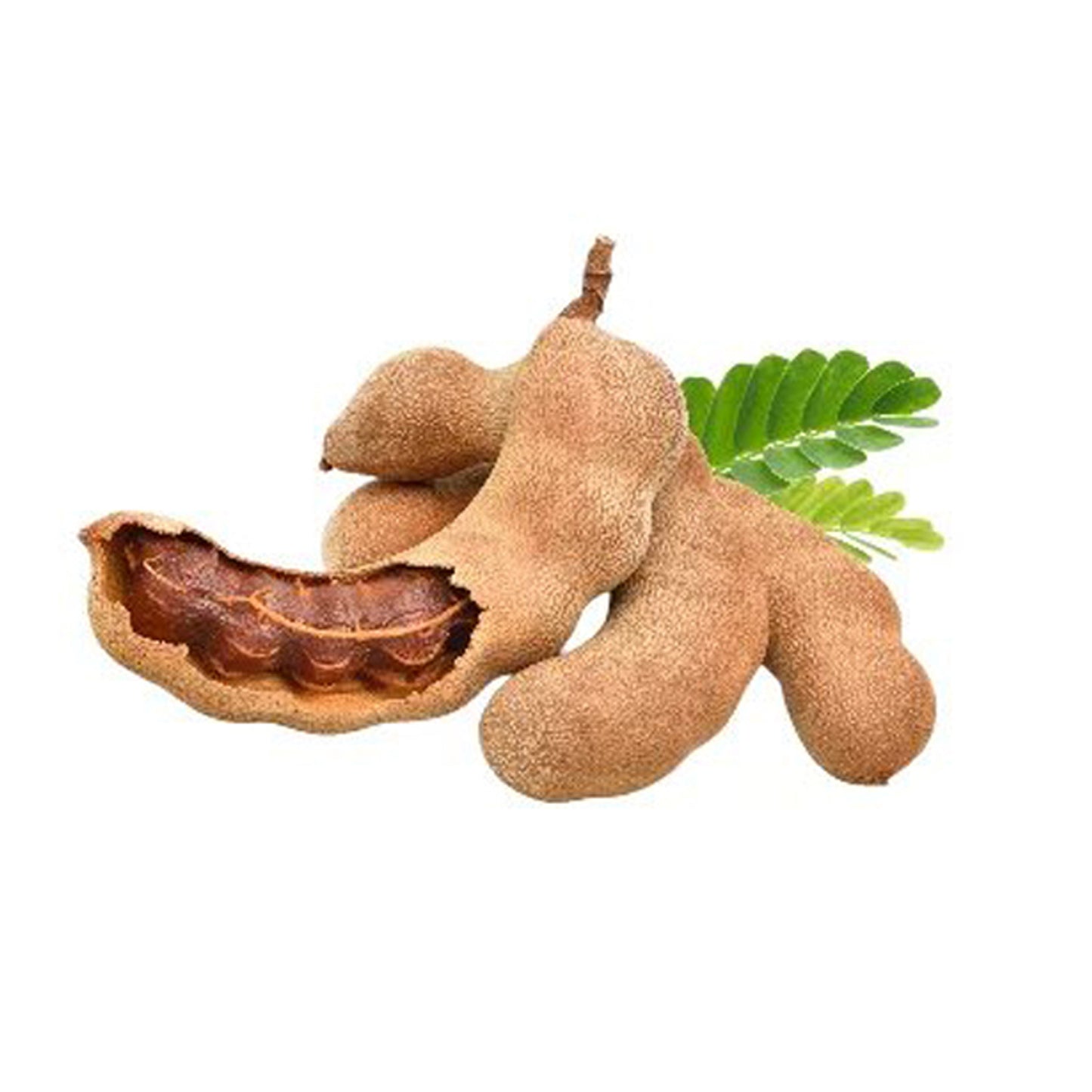 Lakpura Demirhindi Meyve Bitkisi