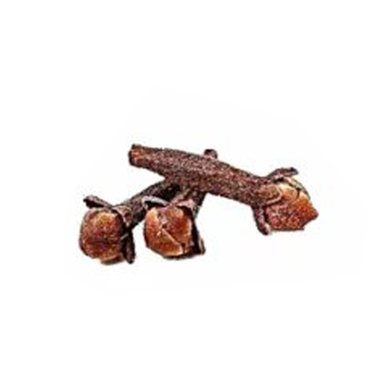 Lakpura Clove Plant