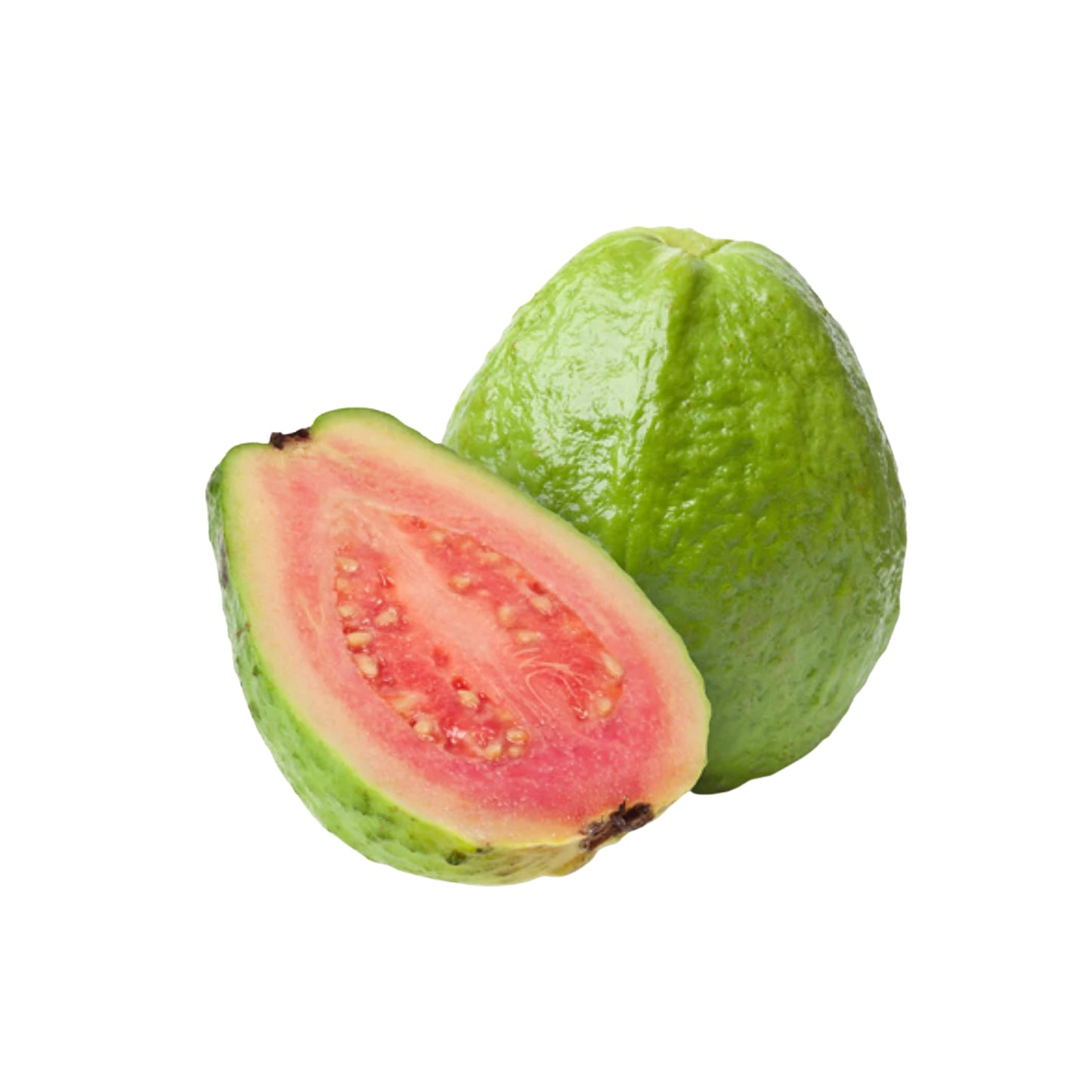 Lakpura Seylan Kırmızı Guava Meyve Bitkisi