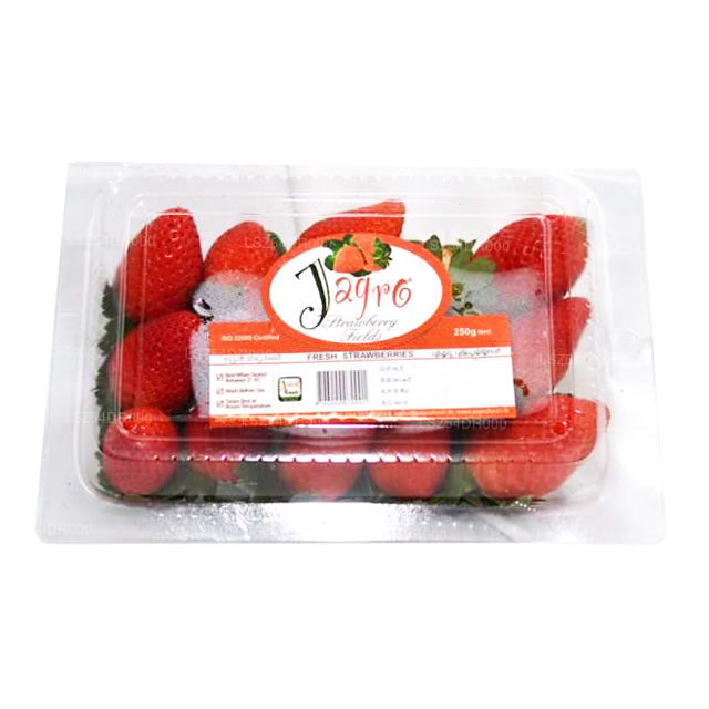 Jagro yaban mersini (250g)