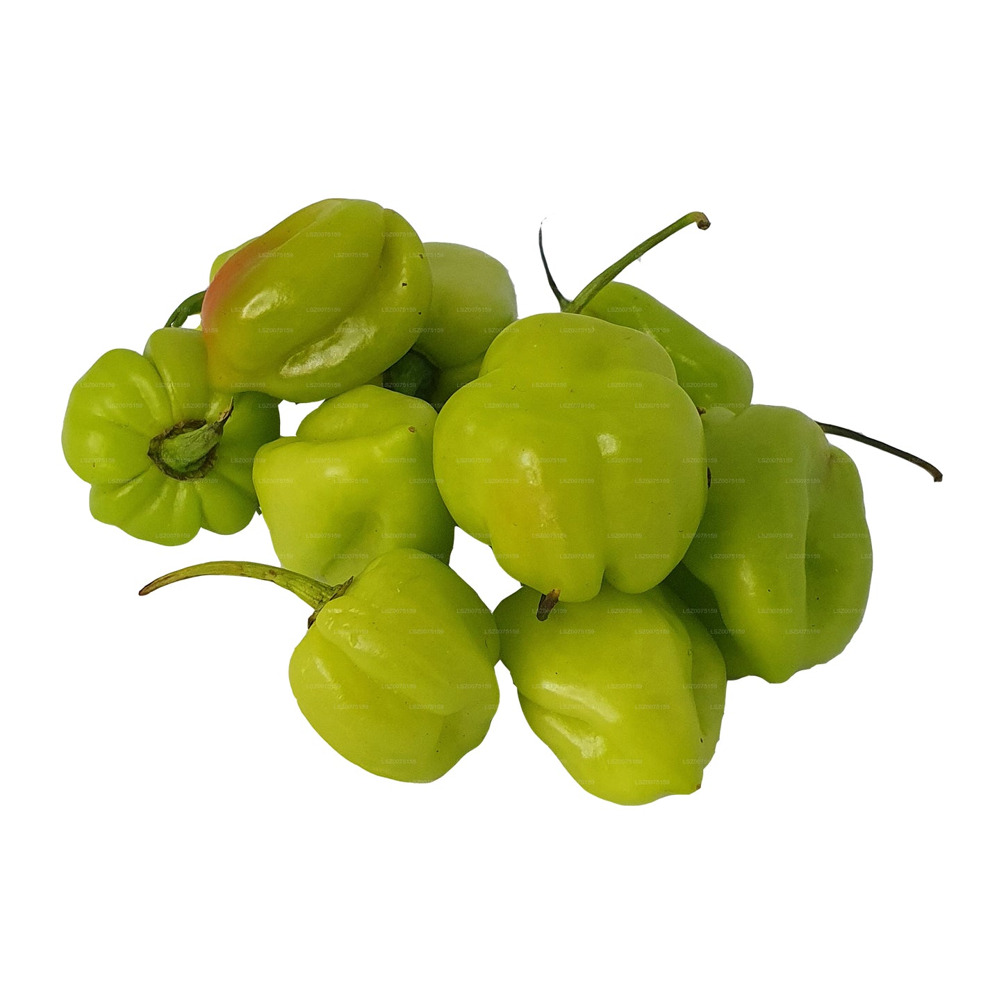 Taze Nai Miris () 100g