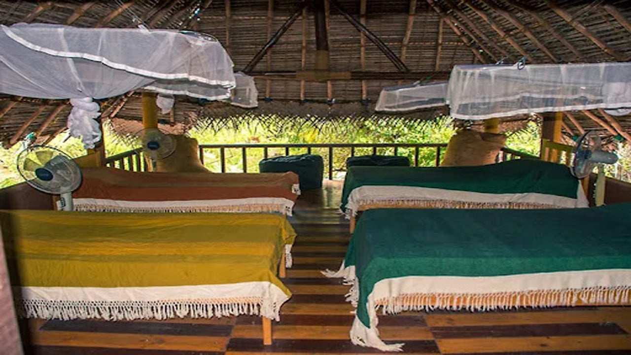 Cadjan vahşi, Kataragama