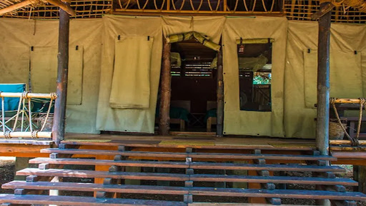 Cadjan vahşi, Kataragama