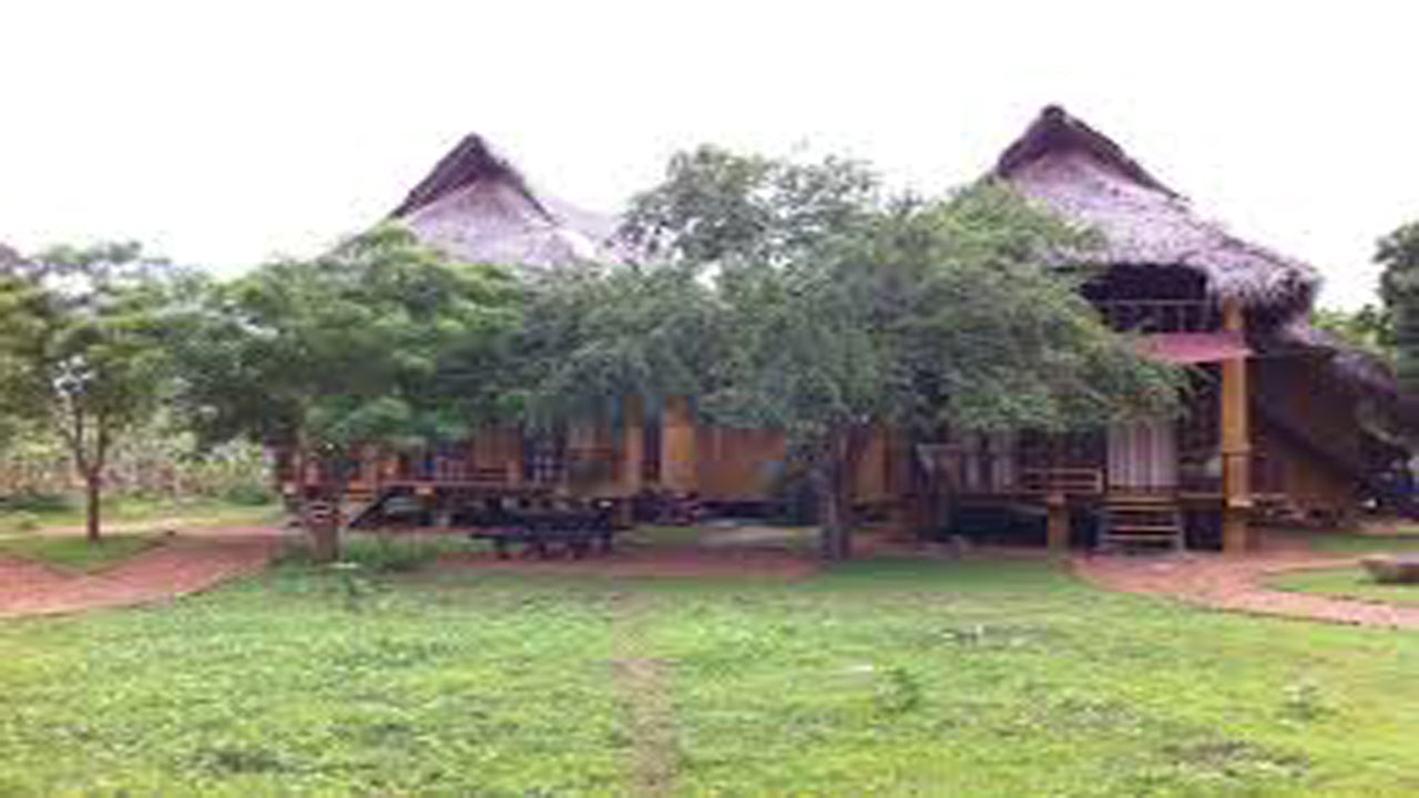 Cadjan vahşi, Kataragama