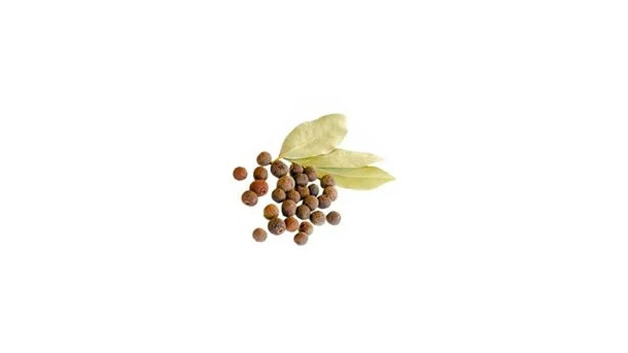 Lakpura Allspice Plant