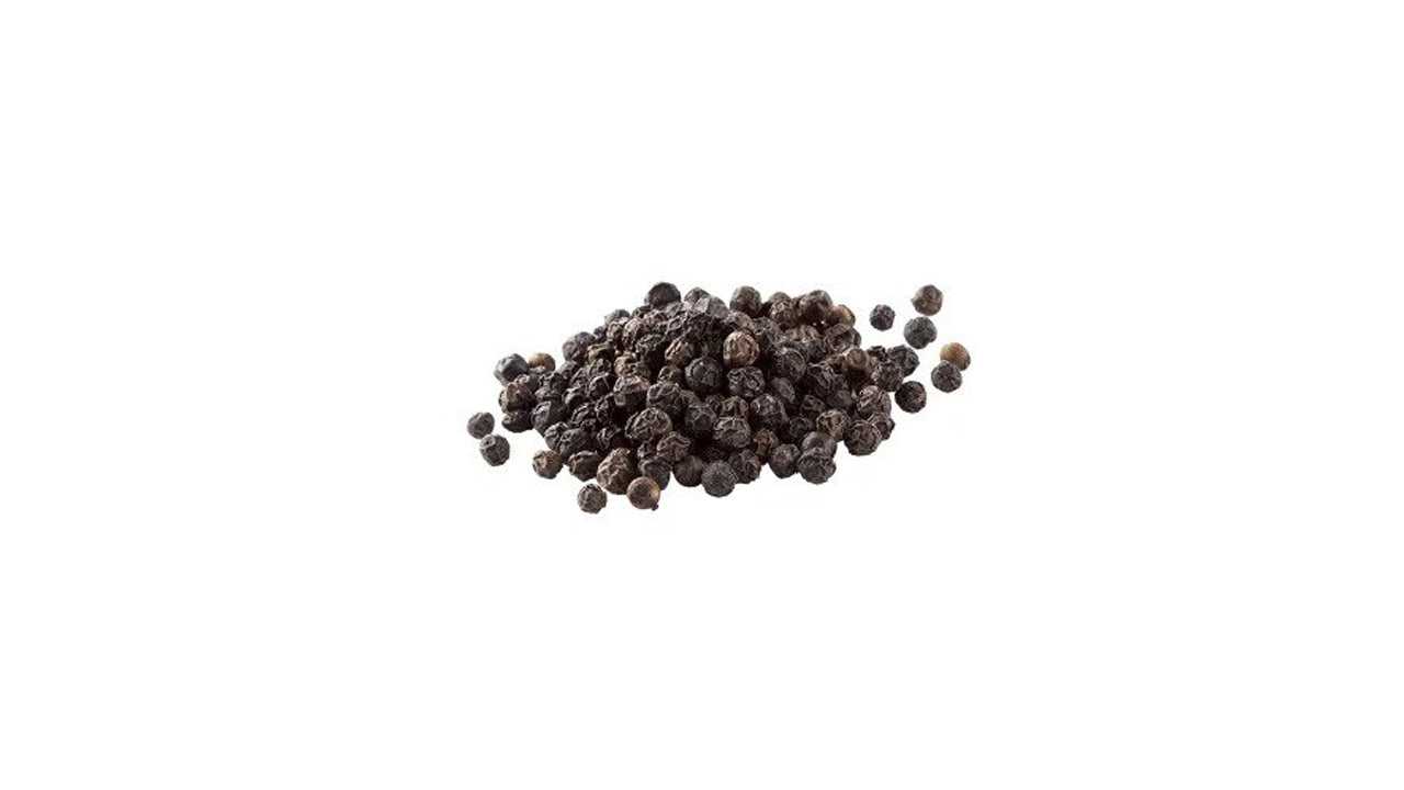 Lakpura Bushy Pepper Plant