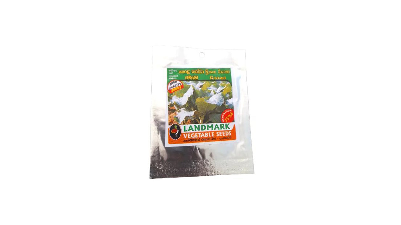 Lakpura Savoy Cabbage Seeds