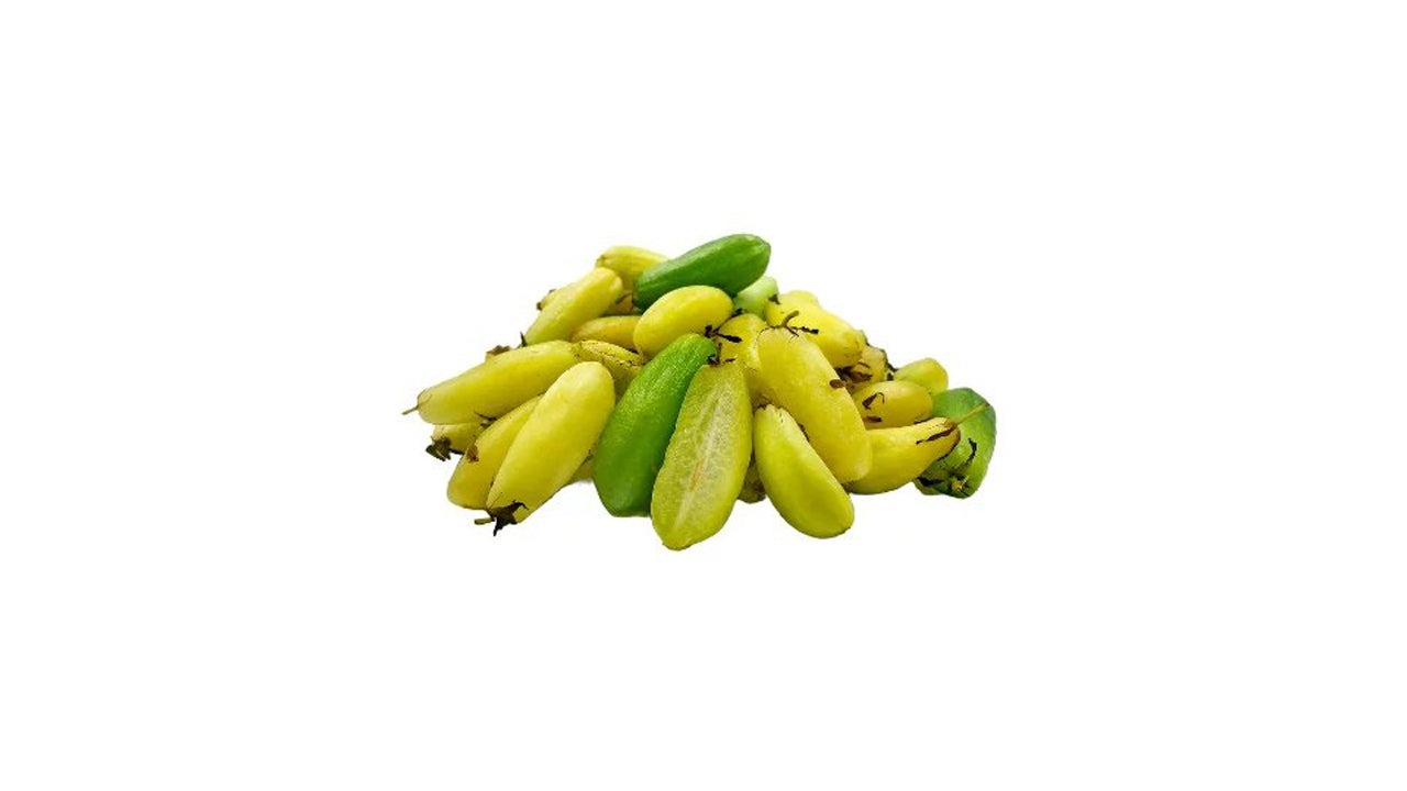 Lakpura Cucumber tree (Bilin) Plant