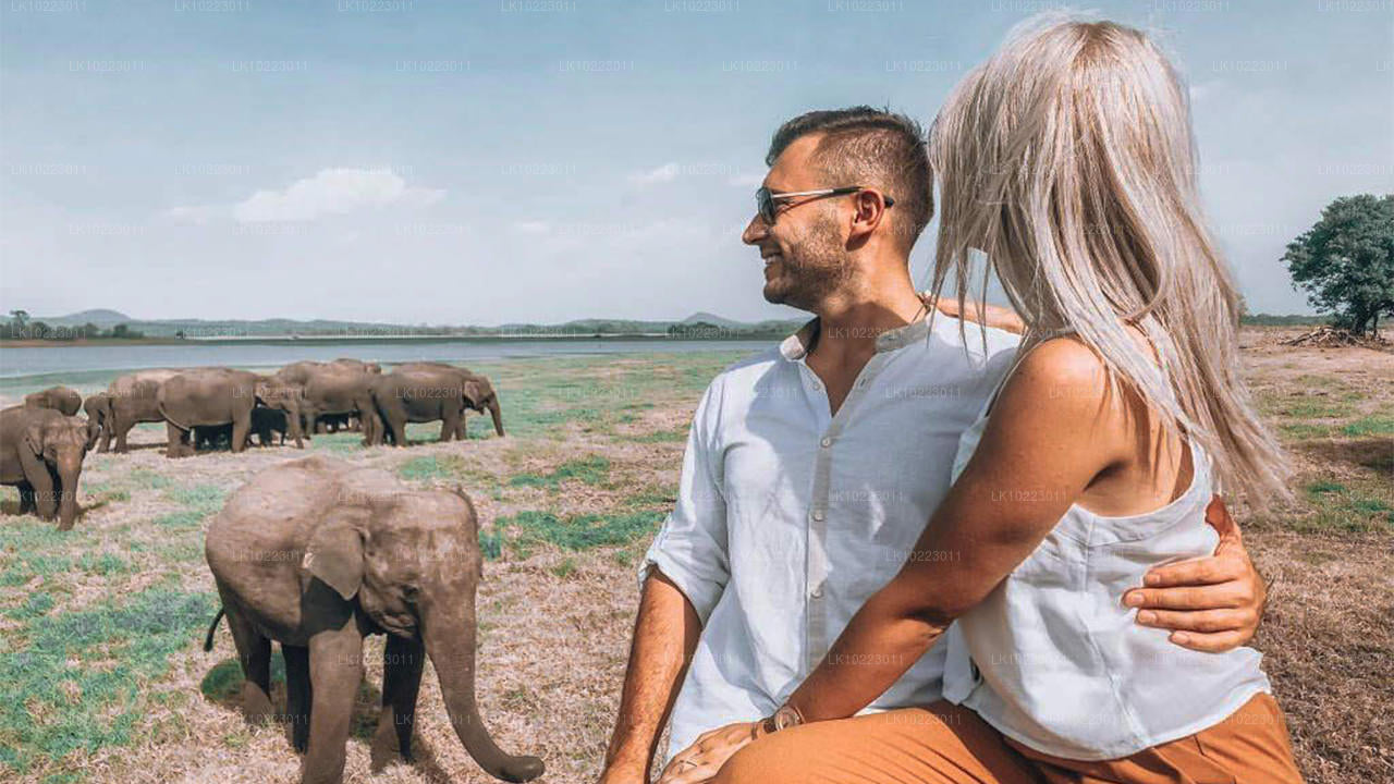 Negombo'dan Sigirya ve Minneriya (2 Gün)