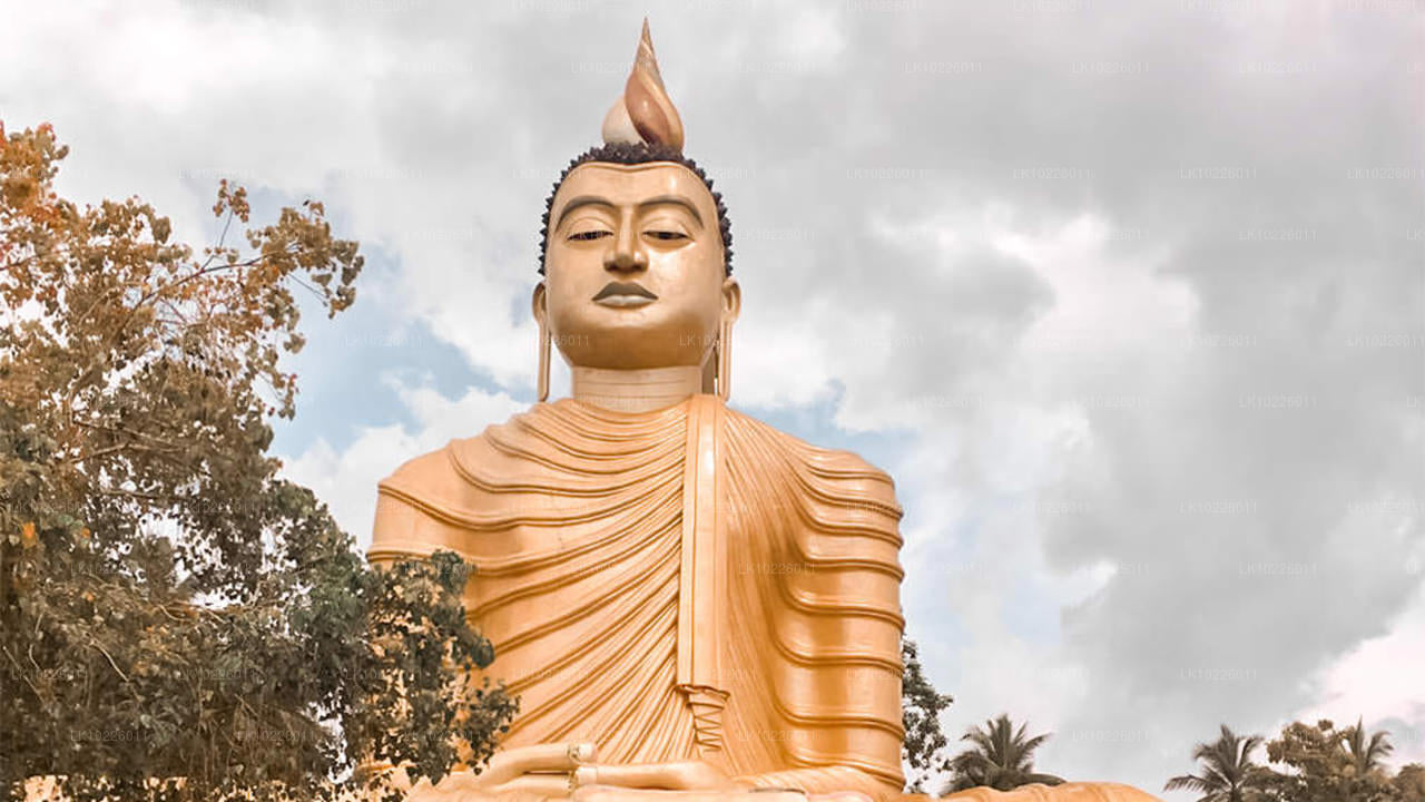 Negombo'dan Tapınaklar ve Vahşi (2 Gün)