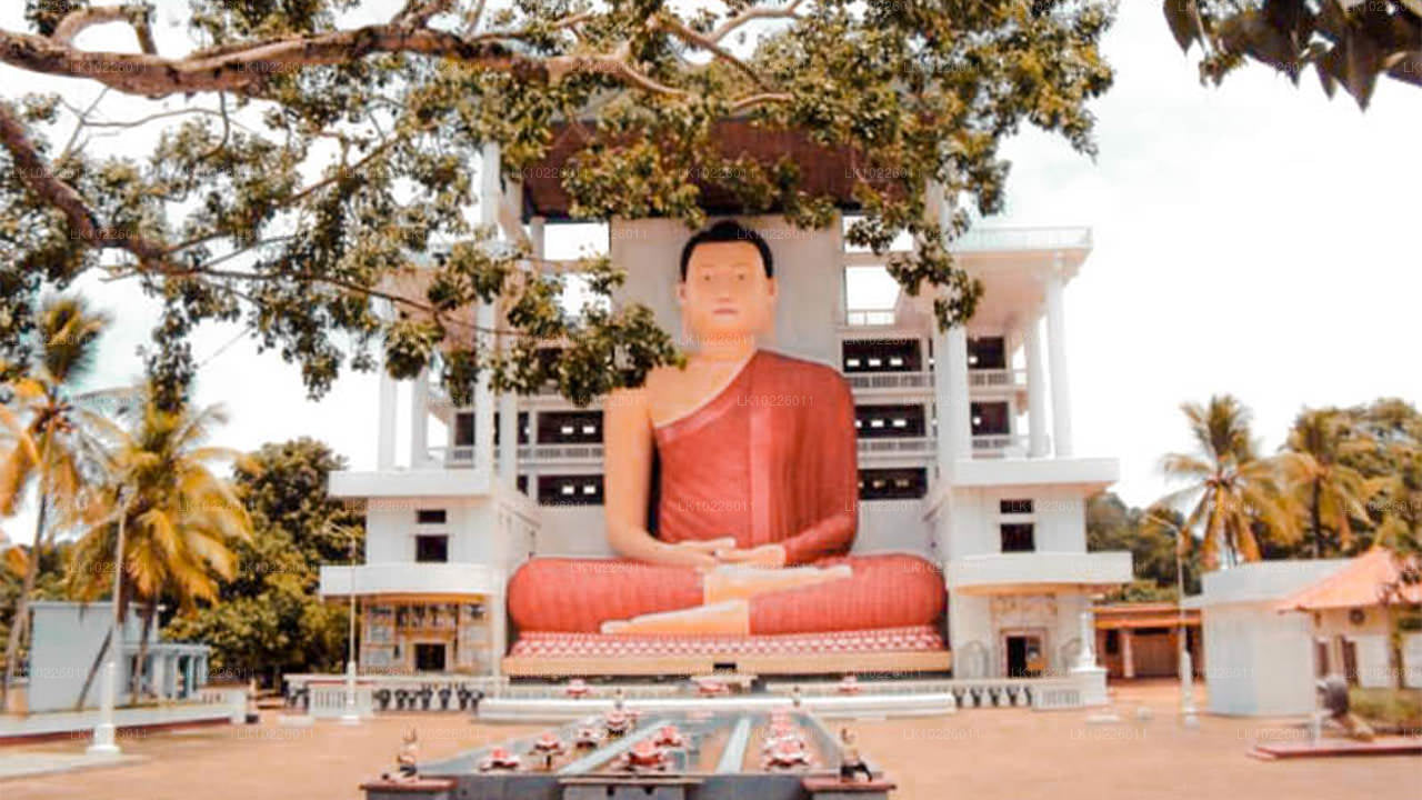 Negombo'dan Tapınaklar ve Vahşi (2 Gün)