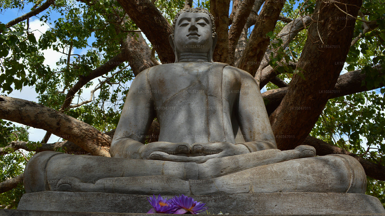 Colombo'dan Kutsal Anuradhapura Şehri (3 Gün)