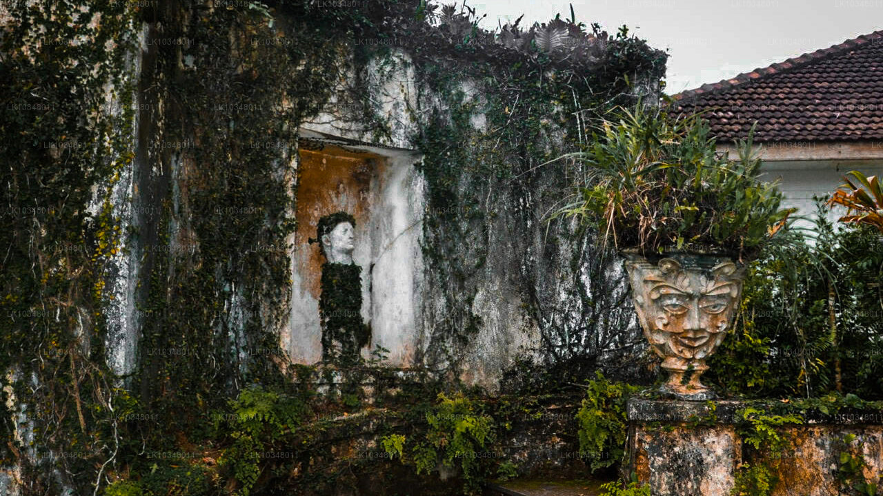 Rahat Sri Lanka (3 Gün)