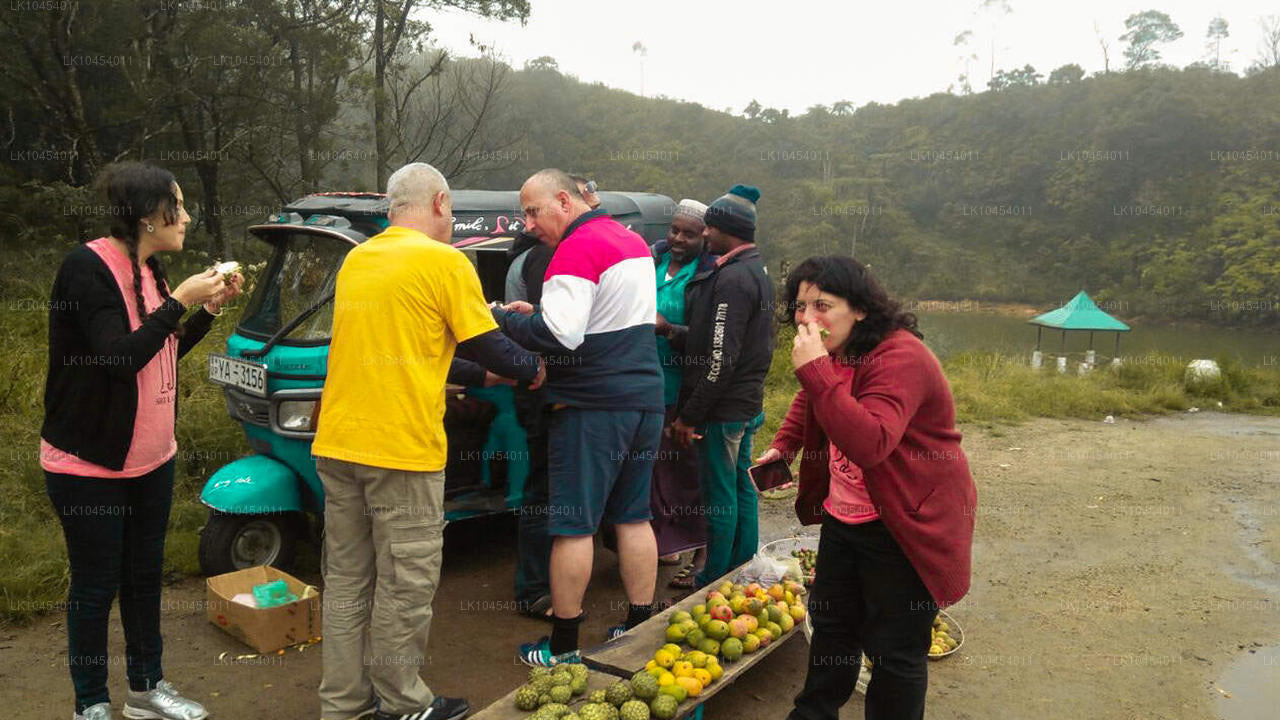 Horton Plains Macerası (4 Gün)
