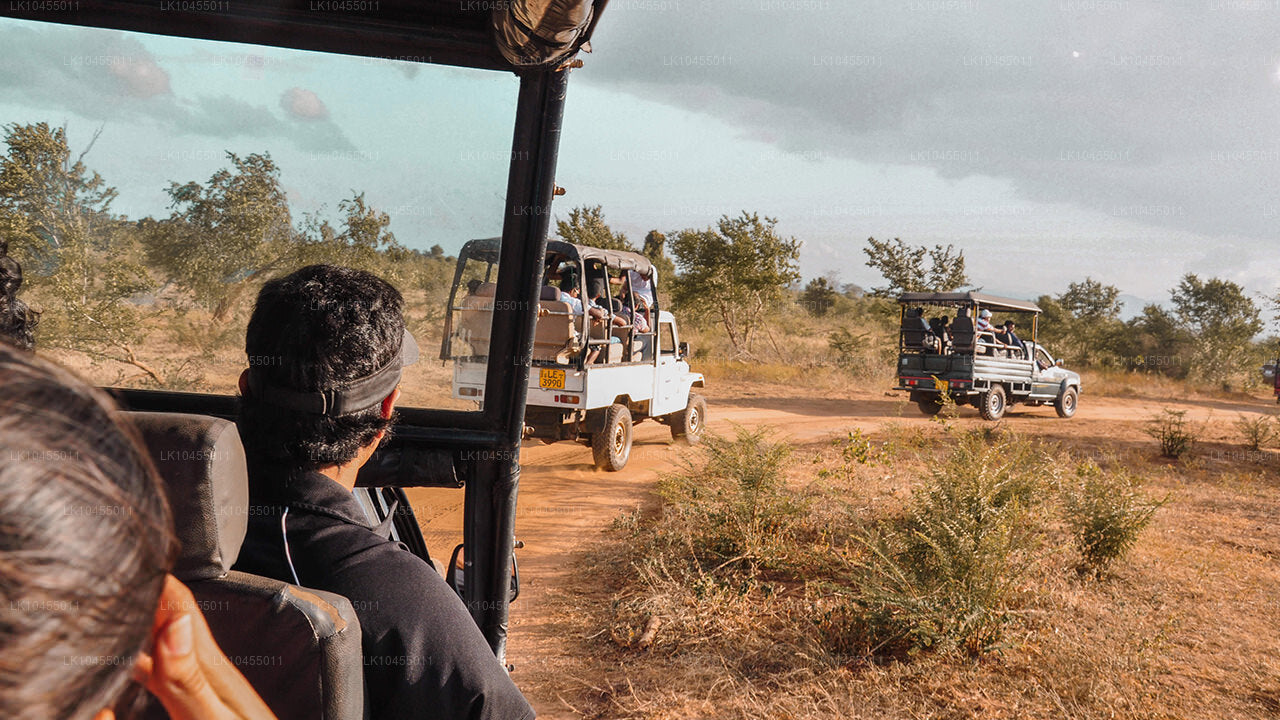 Sri Lanka Aborjin Turu (4 Gün)