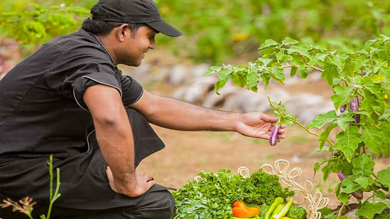 Agro Turu (4 Gün)