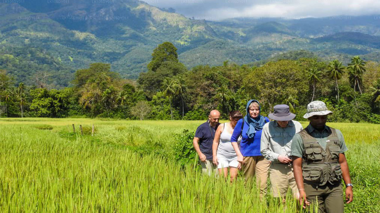 Sri Lanka Agro Turu (6 Gün)