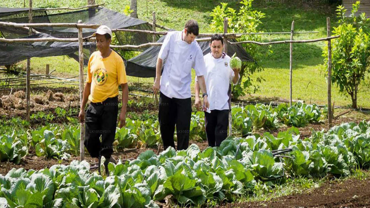 Agro Turu (4 Gün)