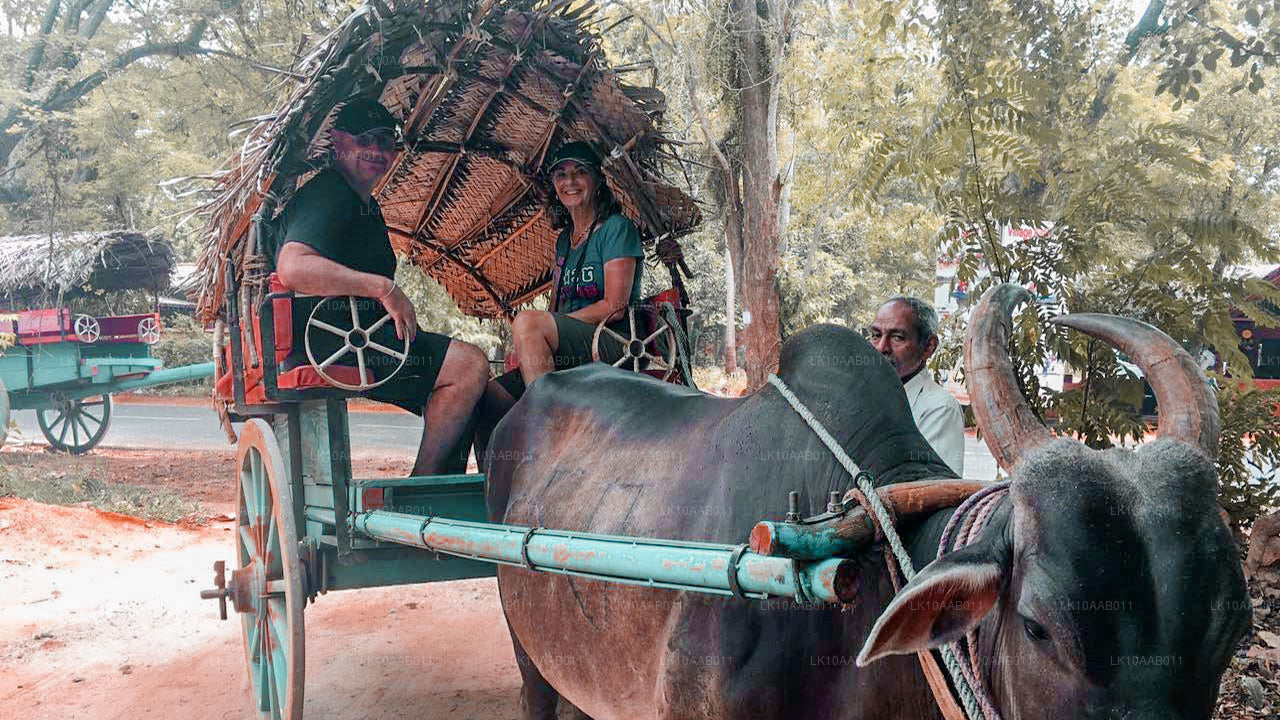 Serendib'in Güney Plajları (10 Gün)
