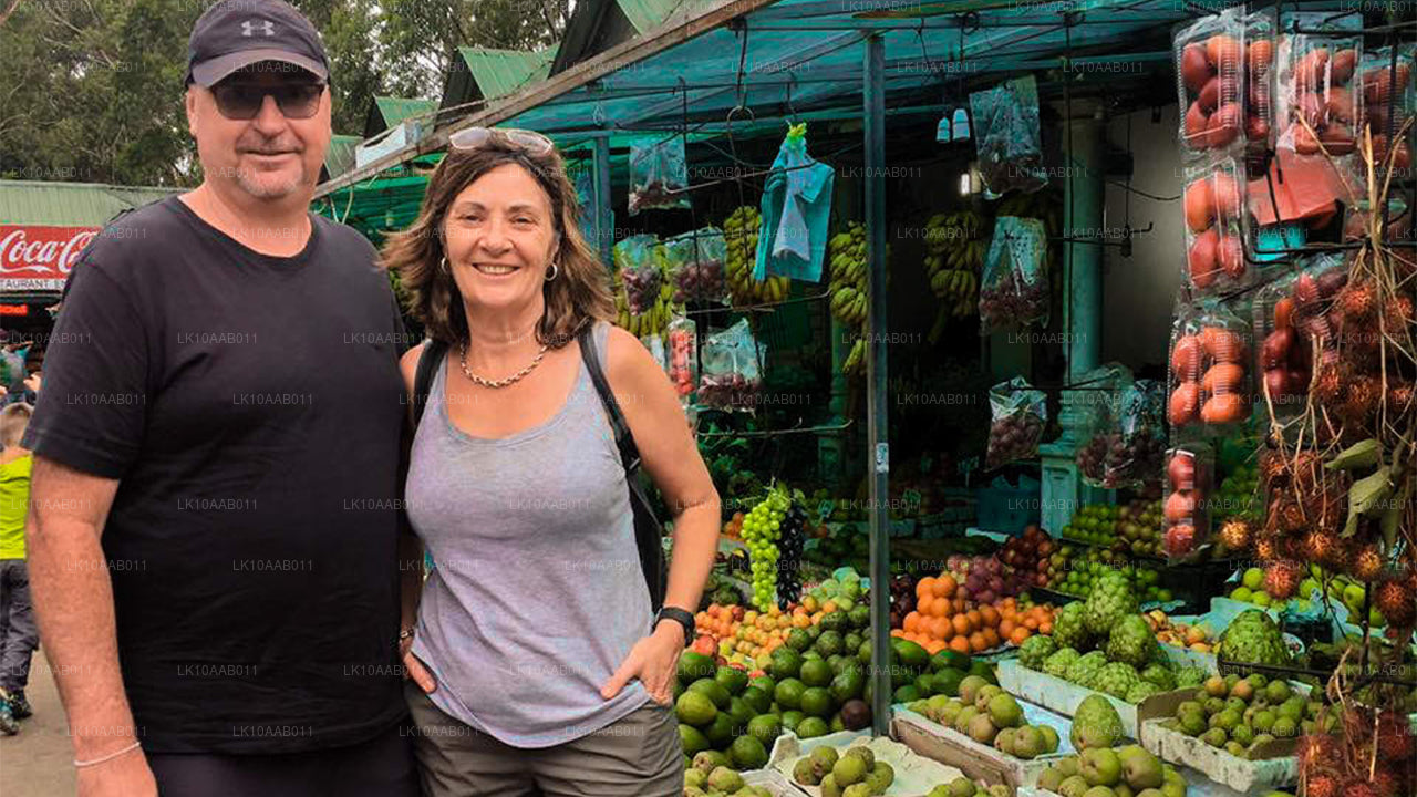 Serendib'in Güney Plajları (10 Gün)