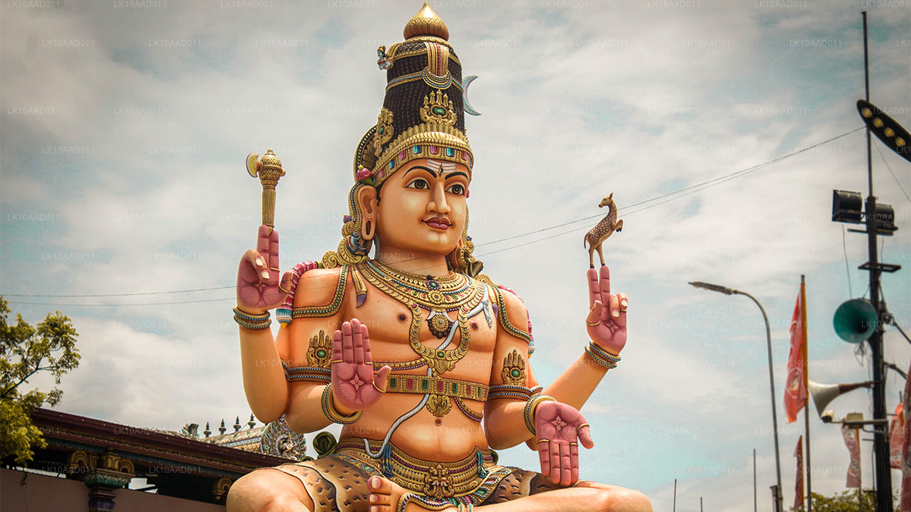 Ramayana Tatili (10 Gün)