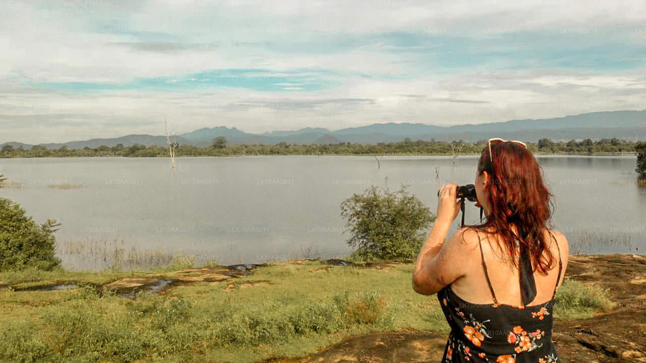 Sri Lanka'nın Yaban Hayatı (10 Gün)