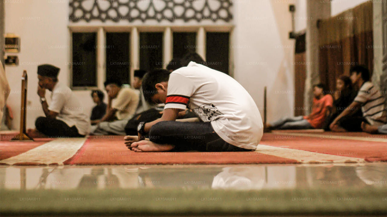 Sri Lanka Helal (İslami) Turu (10 Gün)
