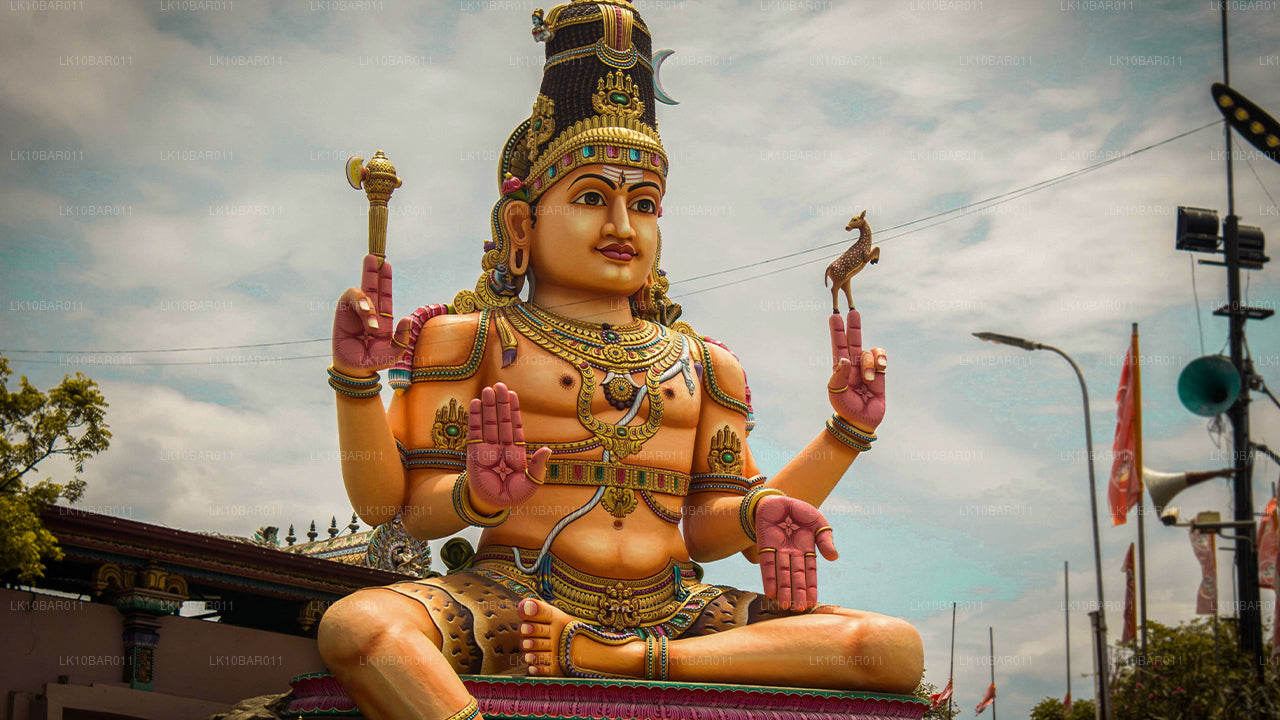 Ramayana Tatili (11 Gün)