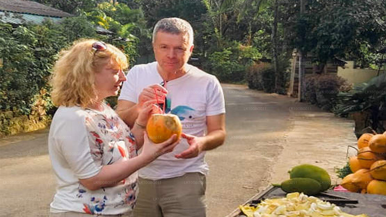 Sri Lanka'nın Mücevherleri (16 Gün)