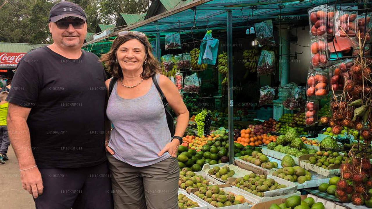 Heyecan Üzerine Dalış (20 Gün)